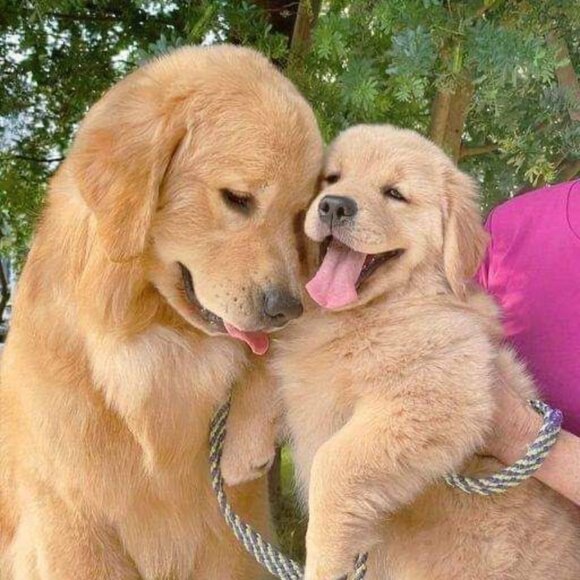 SMILE for the DAY!!! - Picture 3 of 12